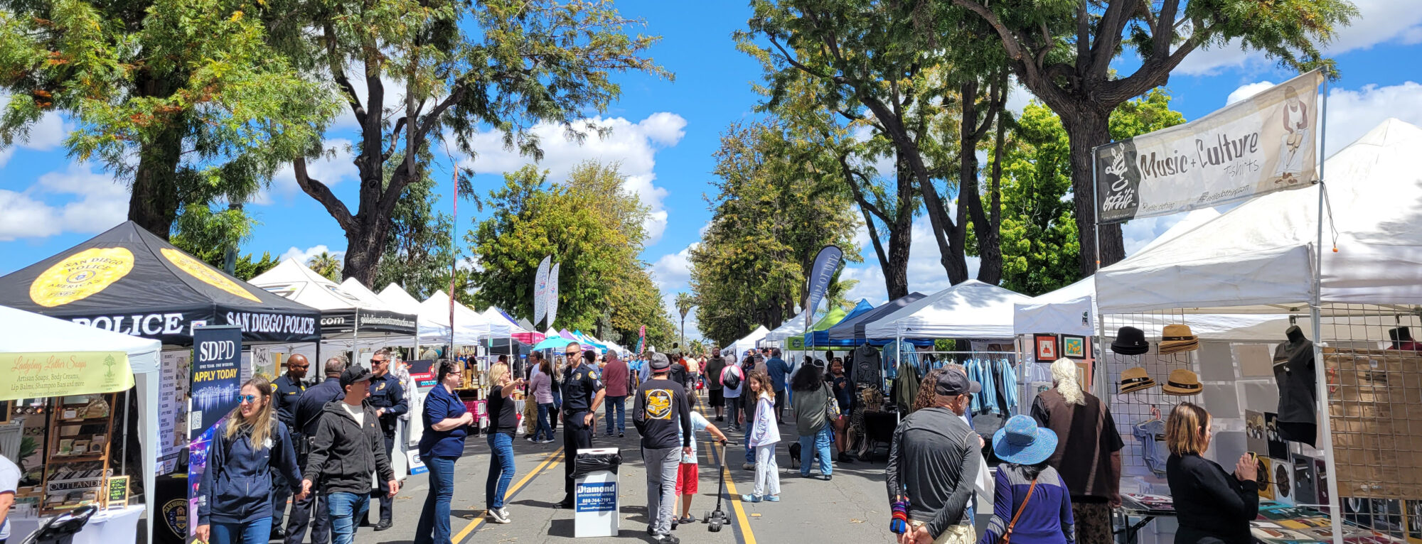 Rolando Street Fair row of vendors